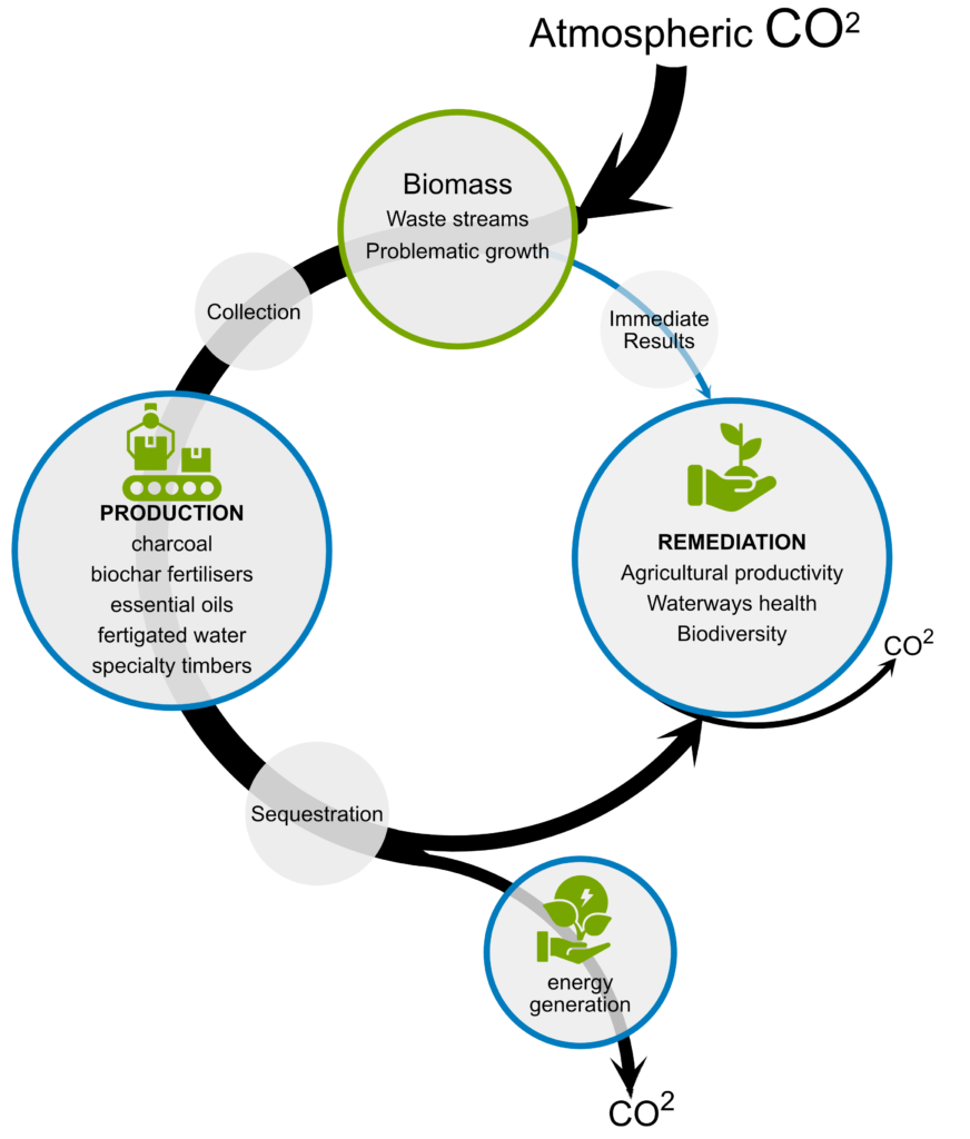 co2 cycle