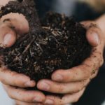 Biochar for soil health